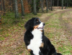 Luna 8 miesięcy/months
