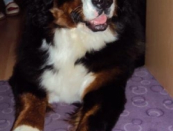 Lambda 10 miesięcy