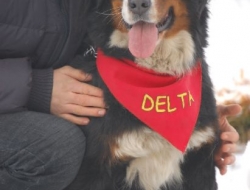 Delta